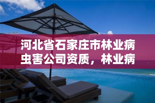 河北省石家庄市林业病虫害公司资质，林业病虫害监测系统