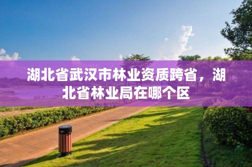 湖北省武汉市林业资质跨省，湖北省林业局在哪个区