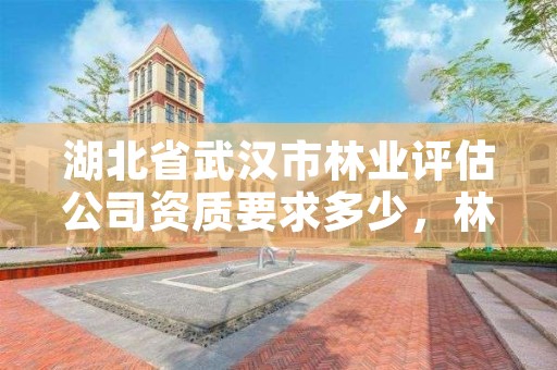 湖北省武汉市林业评估公司资质要求多少，林业评估资质等级