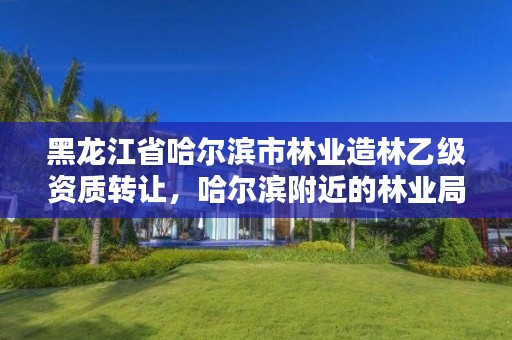 黑龙江省哈尔滨市林业造林乙级资质转让,哈尔滨附近的林业局