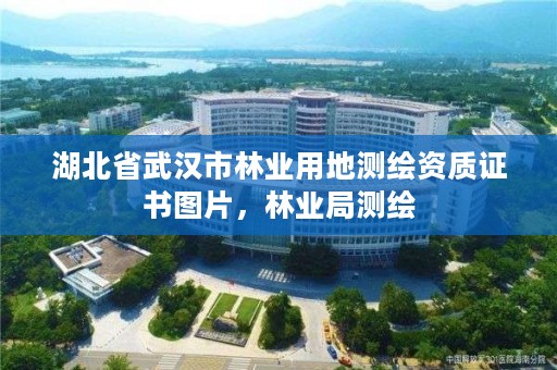 湖北省武汉市林业用地测绘资质证书图片，林业局测绘