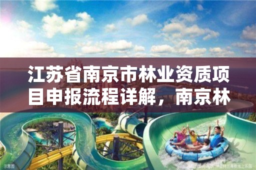 江苏省南京市林业资质项目申报流程详解,南京林业鉴定中心