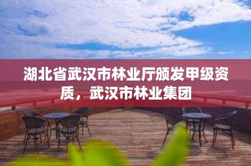湖北省武汉市林业厅颁发甲级资质，武汉市林业集团