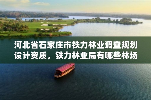 河北省石家庄市铁力林业调查规划设计资质，铁力林业局有哪些林场