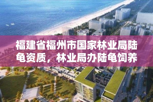 福建省福州市国家林业局陆龟资质,林业局办陆龟饲养证