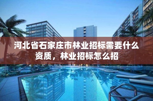 河北省石家庄市林业招标需要什么资质，林业招标怎么招