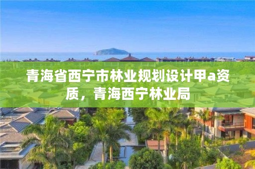 青海省西宁市林业规划设计甲a资质，青海西宁林业局
