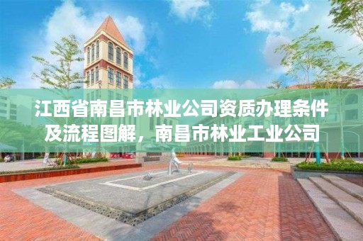 江西省南昌市林业公司资质办理条件及流程图解,南昌市林业工业公司