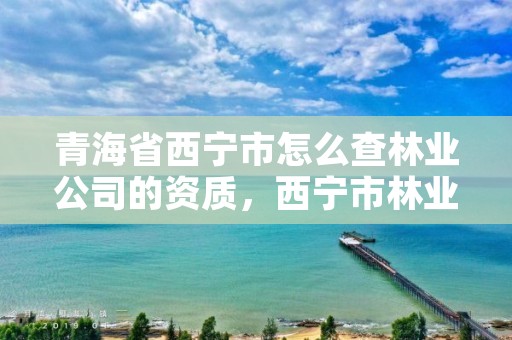 青海省西宁市怎么查林业公司的资质，西宁市林业局在哪里