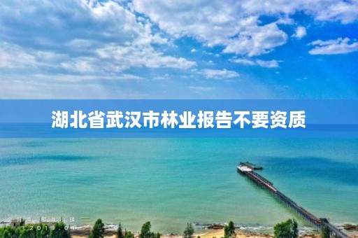 湖北省武汉市林业报告不要资质