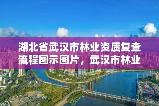 湖北省武汉市林业资质复查流程图示图片，武汉市林业勘察设计院