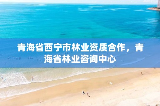 青海省西宁市林业资质合作，青海省林业咨询中心
