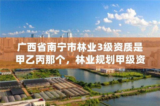广西省南宁市林业3级资质是甲乙丙那个,林业规划甲级资质单位