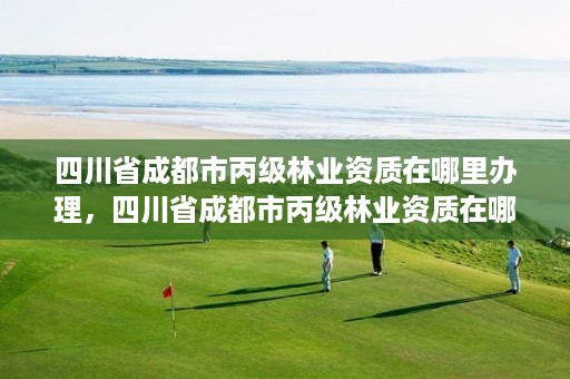 四川省成都市丙级林业资质在哪里办理,四川省成都市丙级林业资质在哪里办理的