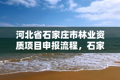 河北省石家庄市林业资质项目申报流程，石家庄林业局电话号码