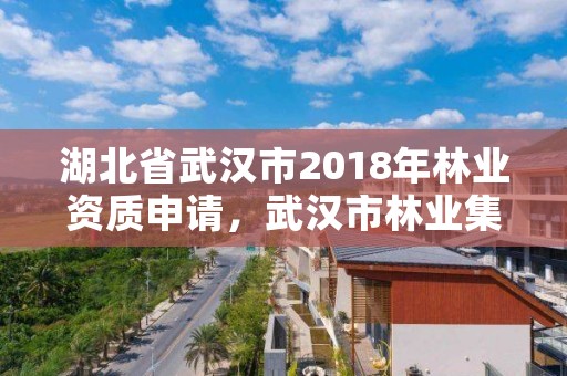 湖北省武汉市2018年林业资质申请，武汉市林业集团公司官网