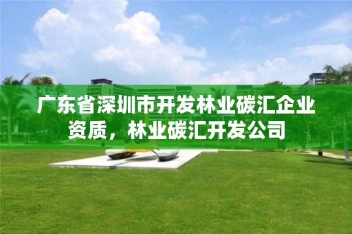广东省深圳市开发林业碳汇企业资质,林业碳汇开发公司