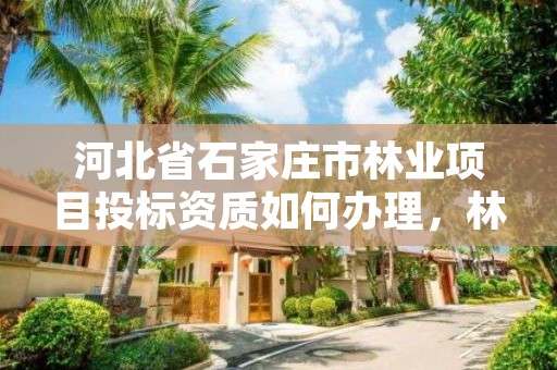 河北省石家庄市林业项目投标资质如何办理，林业资质要求