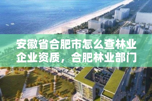 安徽省合肥市怎么查林业企业资质,合肥林业部门