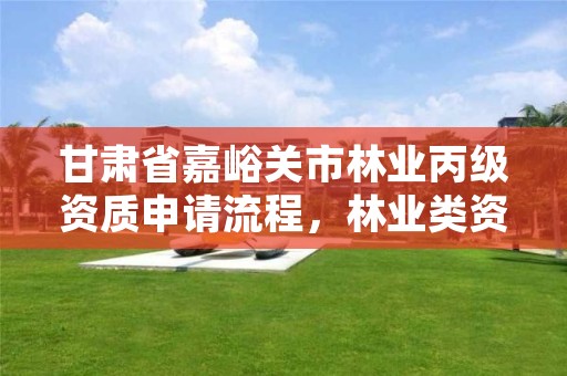 甘肃省嘉峪关市林业丙级资质申请流程,林业类资质