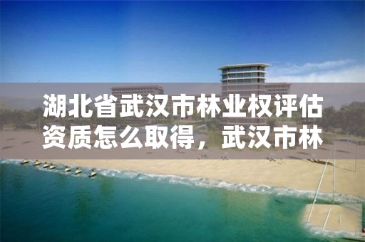 湖北省武汉市林业权评估资质怎么取得,武汉市林业集团公司官网