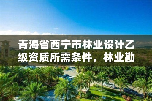 青海省西宁市林业设计乙级资质所需条件，林业勘察设计丙级资质