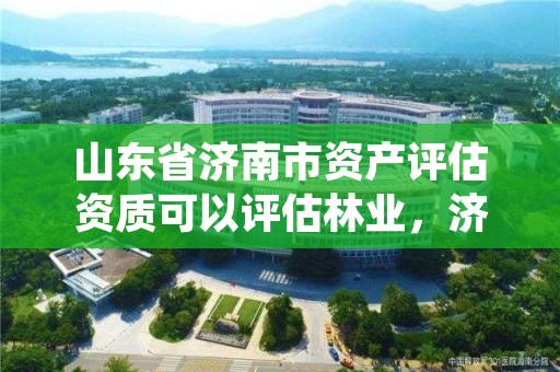山东省济南市资产评估资质可以评估林业,济南资产评估机构
