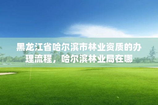 黑龙江省哈尔滨市林业资质的办理流程,哈尔滨林业局在哪