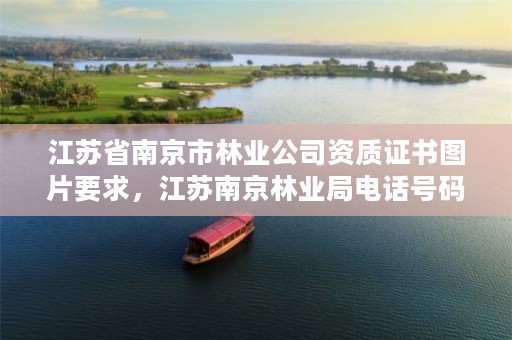 江苏省南京市林业公司资质证书图片要求,江苏南京林业局电话号码