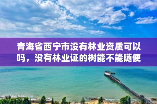 青海省西宁市没有林业资质可以吗，没有林业证的树能不能随便砍