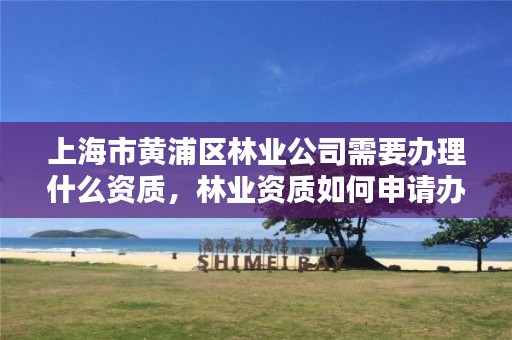 上海市黄浦区林业公司需要办理什么资质,林业资质如何申请办理