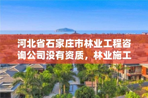 河北省石家庄市林业工程咨询公司没有资质，林业施工资质