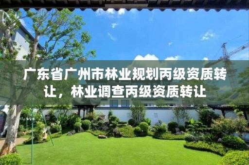 广东省广州市林业规划丙级资质转让,林业调查丙级资质转让