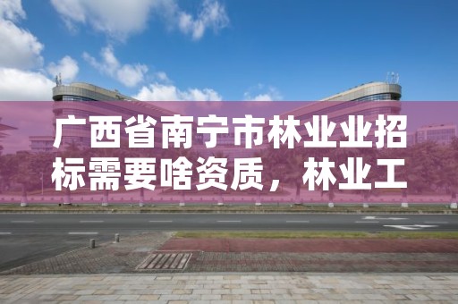 广西省南宁市林业业招标需要啥资质,林业工程招标标准