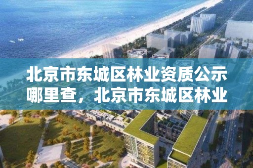 北京市东城区林业资质公示哪里查,北京市东城区林业资质公示哪里查到