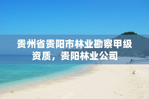 贵州省贵阳市林业勘察甲级资质,贵阳林业公司