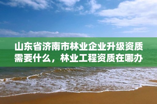 山东省济南市林业企业升级资质需要什么,林业工程资质在哪办