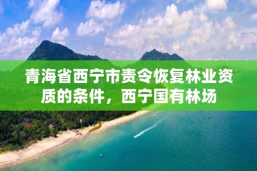 青海省西宁市责令恢复林业资质的条件，西宁国有林场