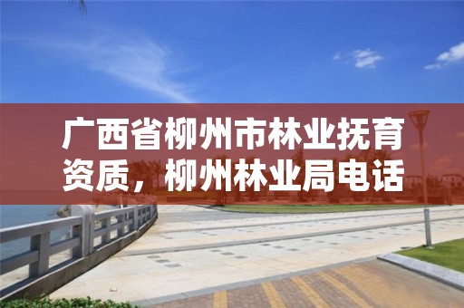 广西省柳州市林业抚育资质,柳州林业局电话