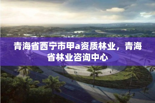 青海省西宁市甲a资质林业，青海省林业咨询中心