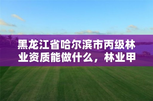 黑龙江省哈尔滨市丙级林业资质能做什么,林业甲级资质