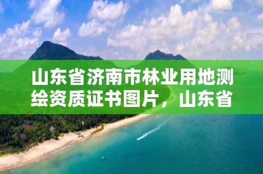 山东省济南市林业用地测绘资质证书图片,山东省林业规划设计院