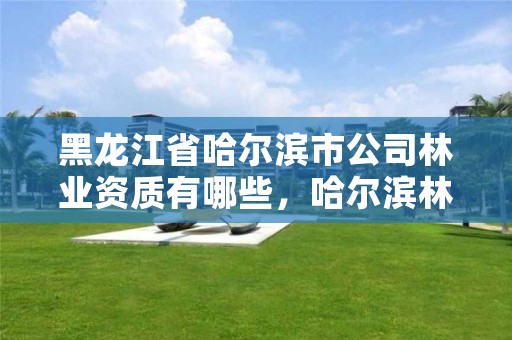 黑龙江省哈尔滨市公司林业资质有哪些,哈尔滨林业局管辖范围