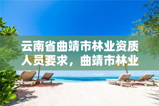 云南省曲靖市林业资质人员要求,曲靖市林业和草原局招标