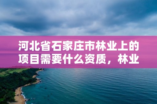 河北省石家庄市林业上的项目需要什么资质，林业资质要求