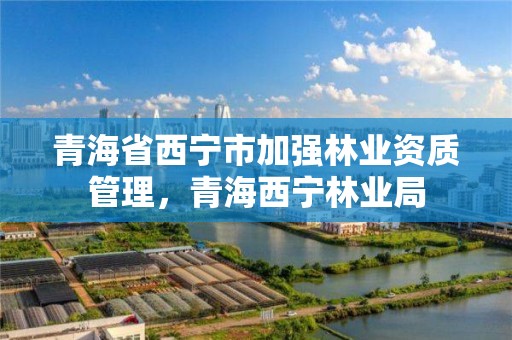 青海省西宁市加强林业资质管理，青海西宁林业局