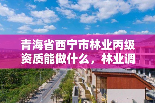 青海省西宁市林业丙级资质能做什么，林业调查丙级资质转让