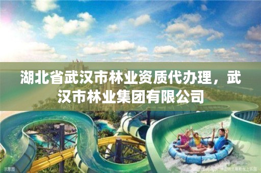 湖北省武汉市林业资质代办理,武汉市林业集团有限公司
