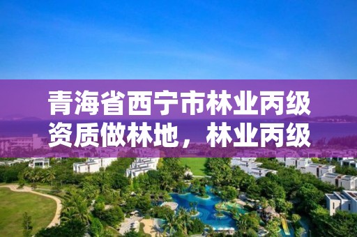 青海省西宁市林业丙级资质做林地，林业丙级资质办理条件
