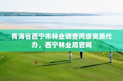 青海省西宁市林业调查丙级资质代办，西宁林业局官网